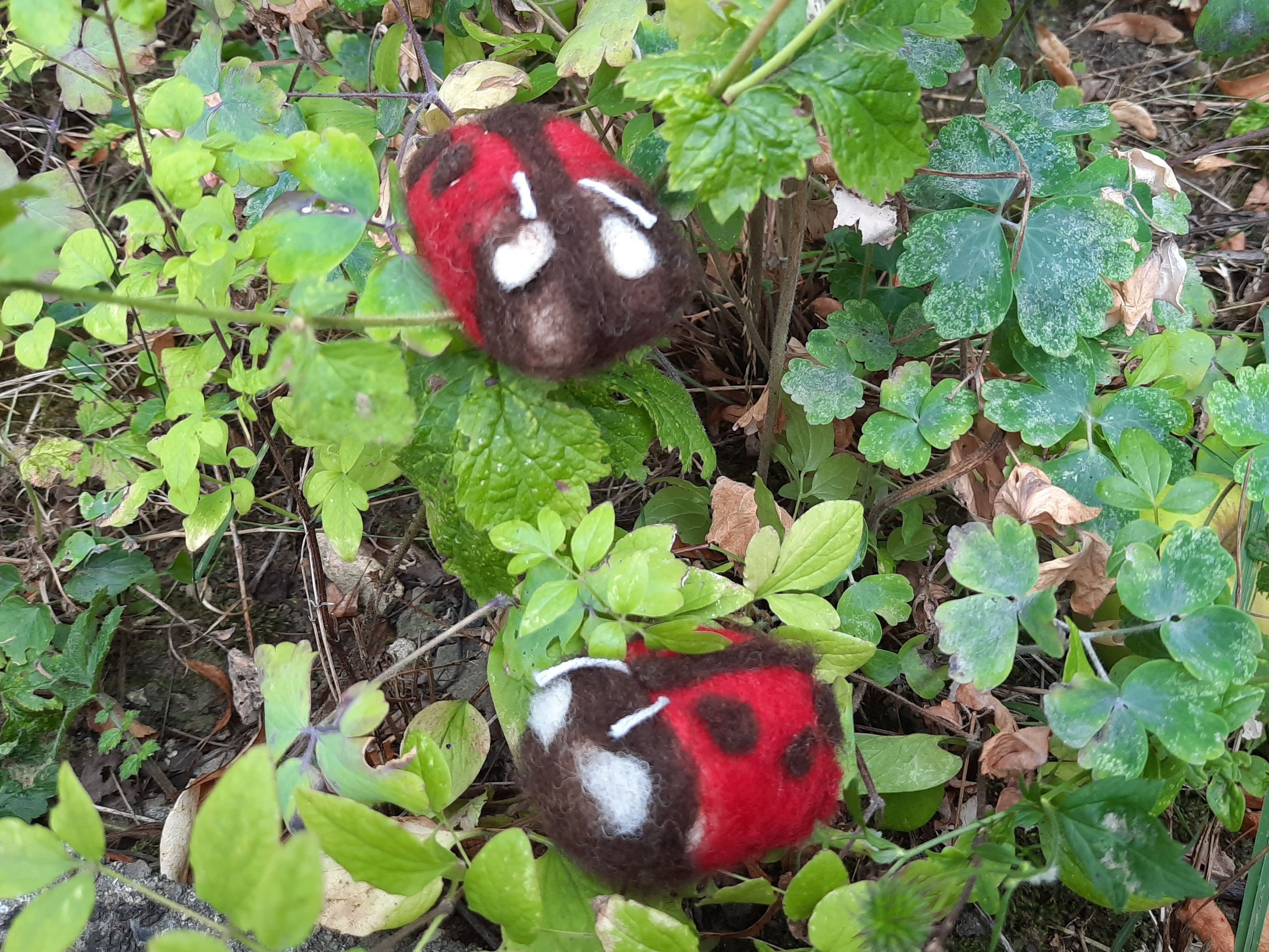 Gefilzter Geburtstags-Glückskäfer